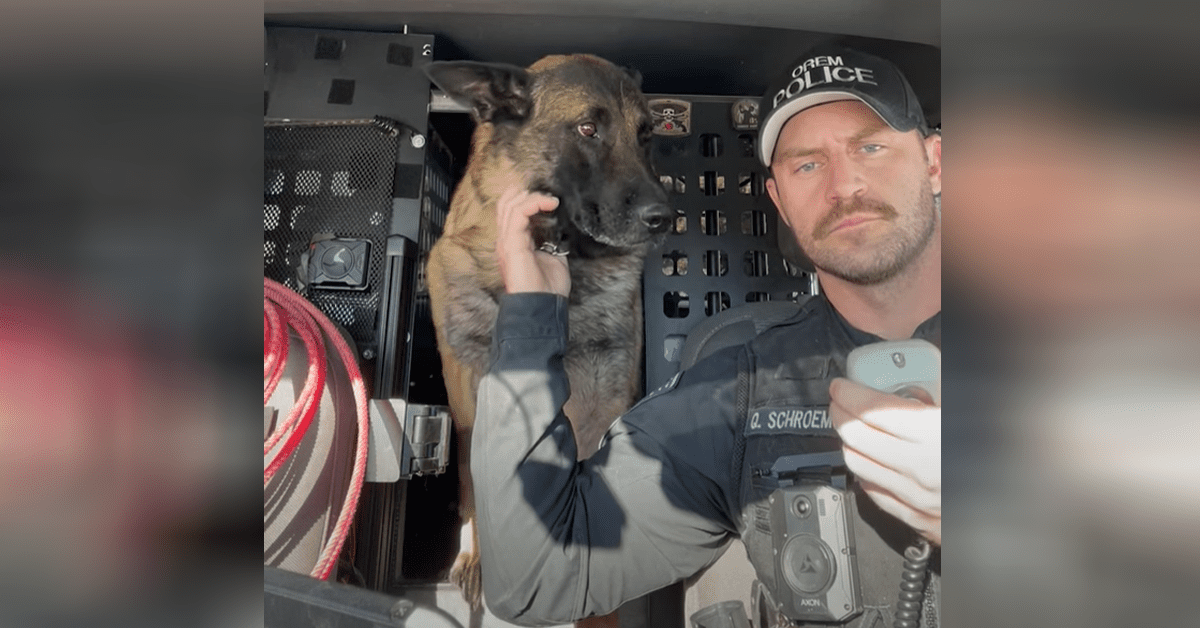 Retiring Police K9 Receives His Final Goodbye I Love GSD   Retiring Police K9 Receives His Final Goodbye 